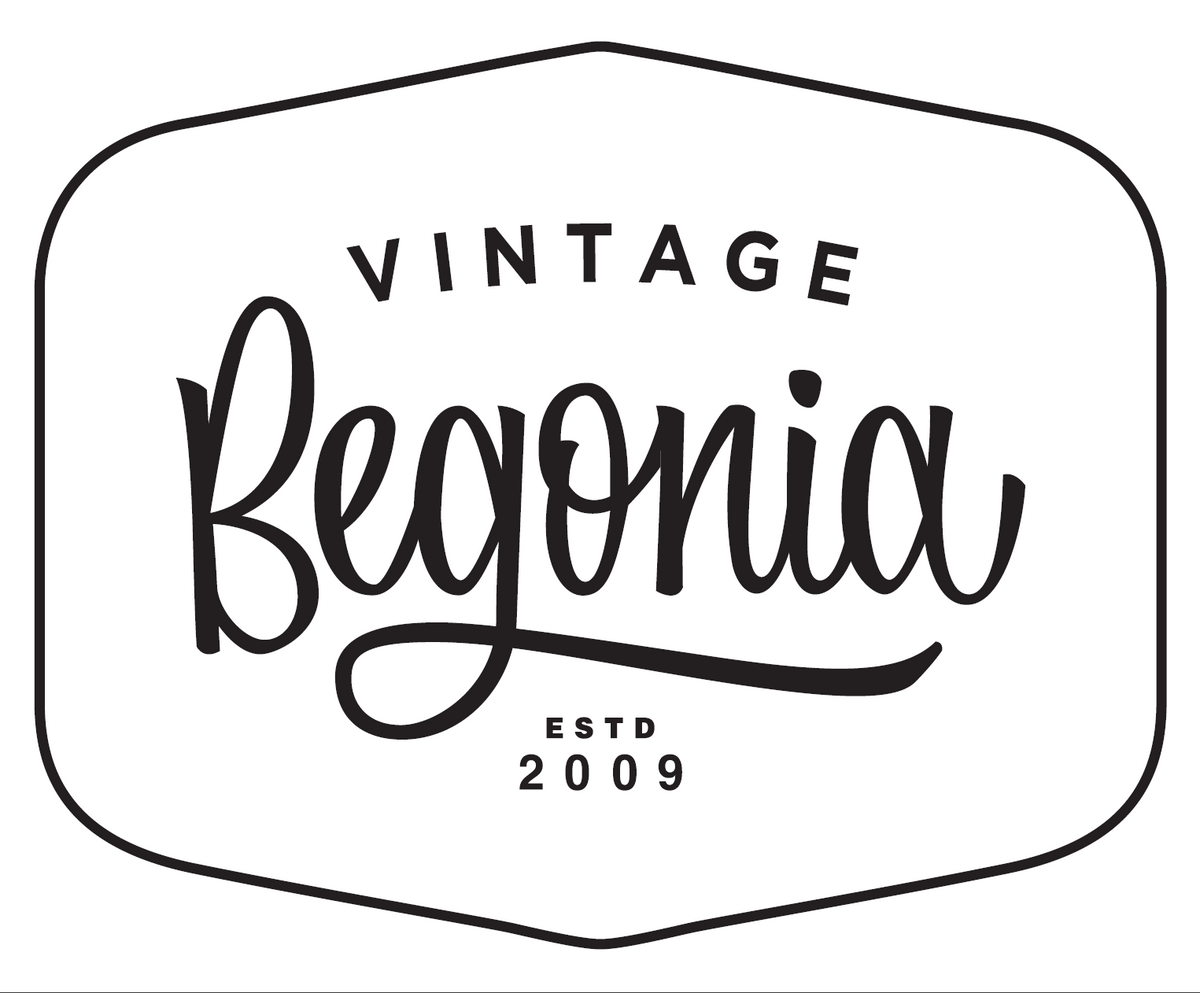 HAMPTON RATTAN FOOD COVER – VintageBegonia